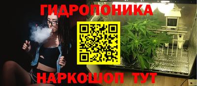 прущие крисы Абакан
