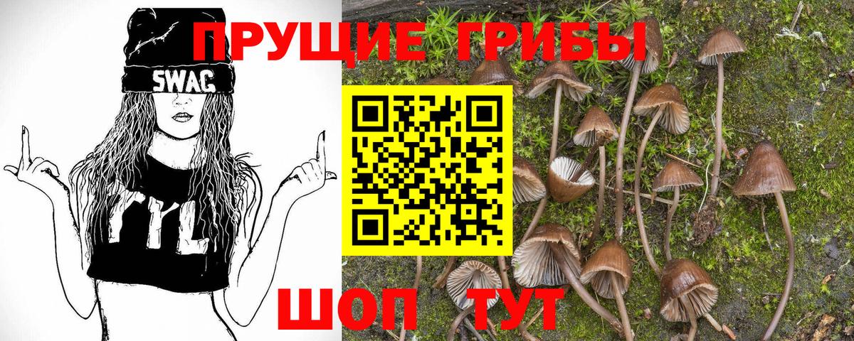 Галлюциногенные грибы GOLDEN TEACHER  Вход с VPN  Абакан 