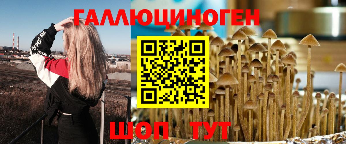 Псилоцибиновые грибы прущие грибы Абакан
